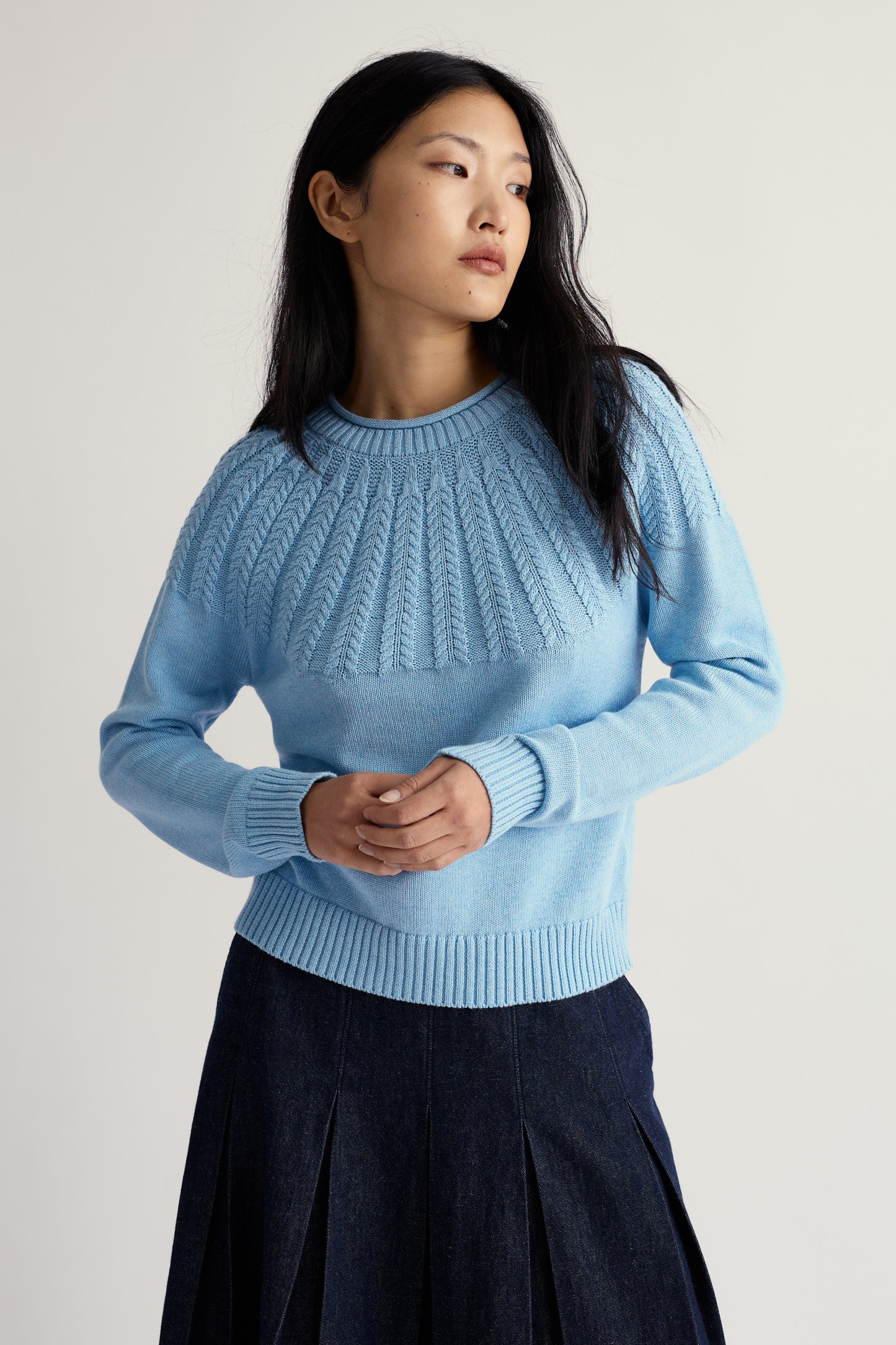 Pull en coton biologique Traquet motteux